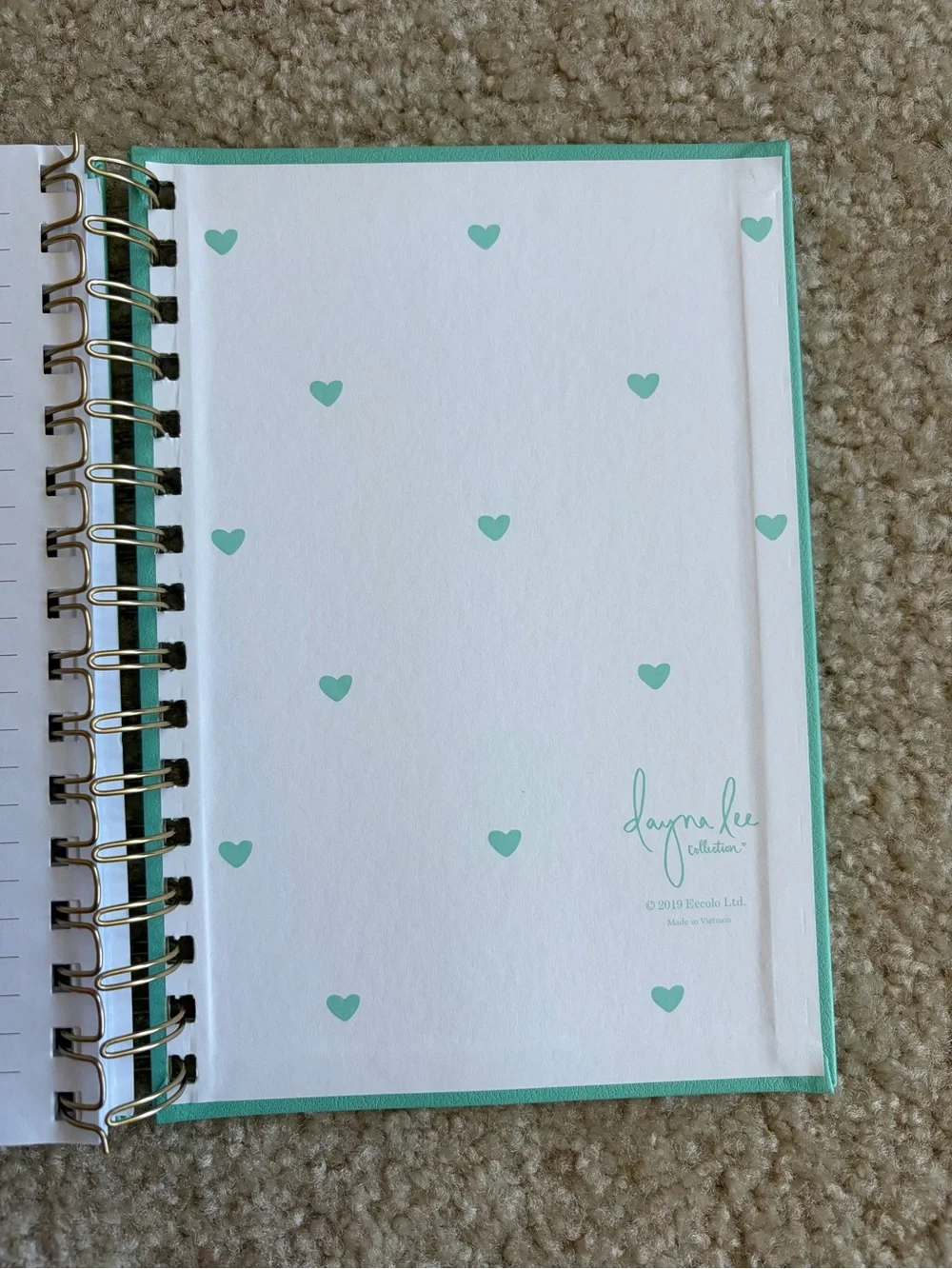 Spiral Lined Journal Notebook in Turquoise